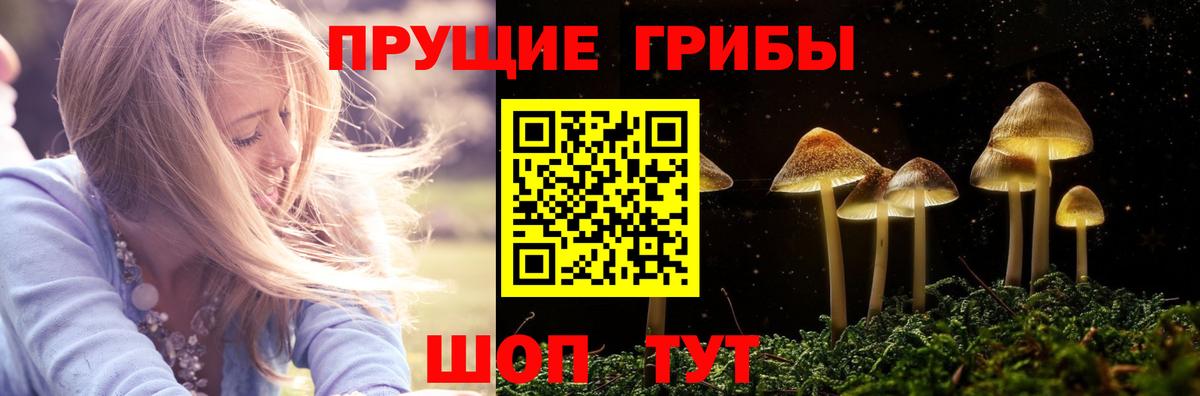 Первоуральск  Псилоцибиновые грибы мицелий  Псилоцибиновые грибы Psilocybe  Вход с VPN 